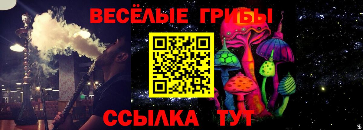 Галлюциногенные грибы мицелий Чистополь